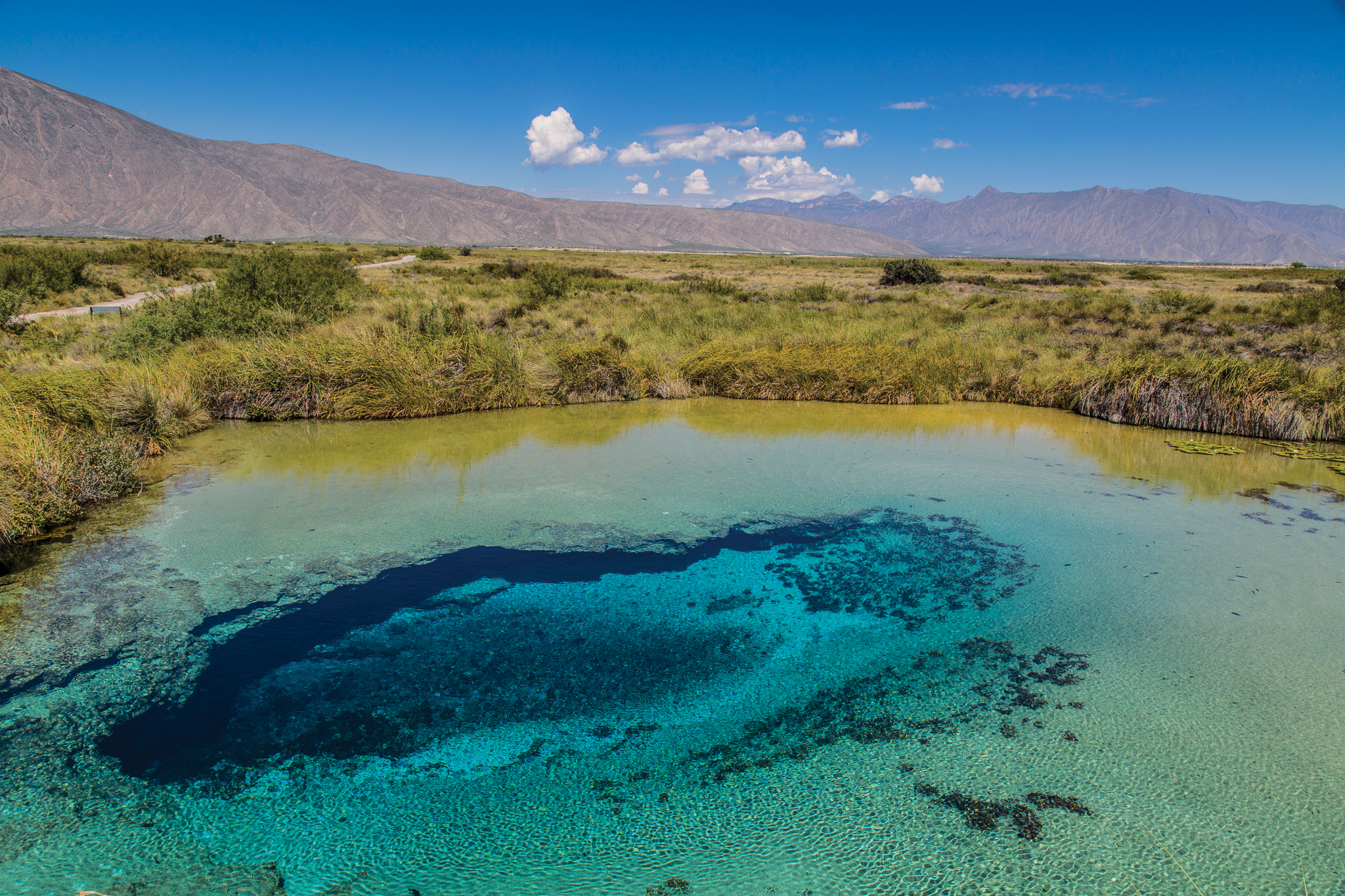 cuatro cienegas coahuila