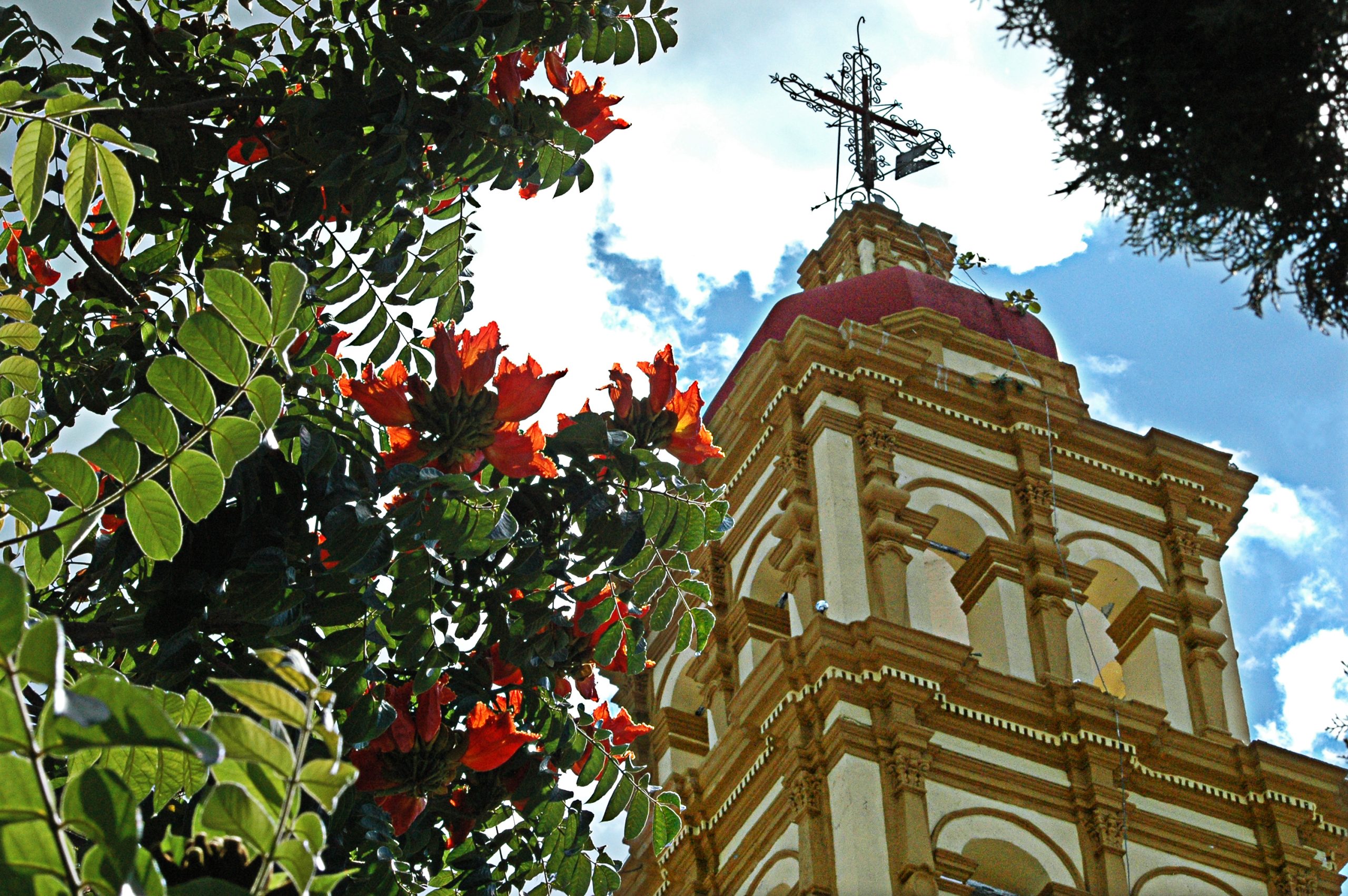 izucar de matamoros puebla scaled