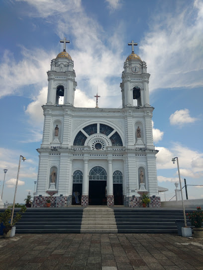 parroquia santa maria de guadalupe el cerrito tlapacoyan