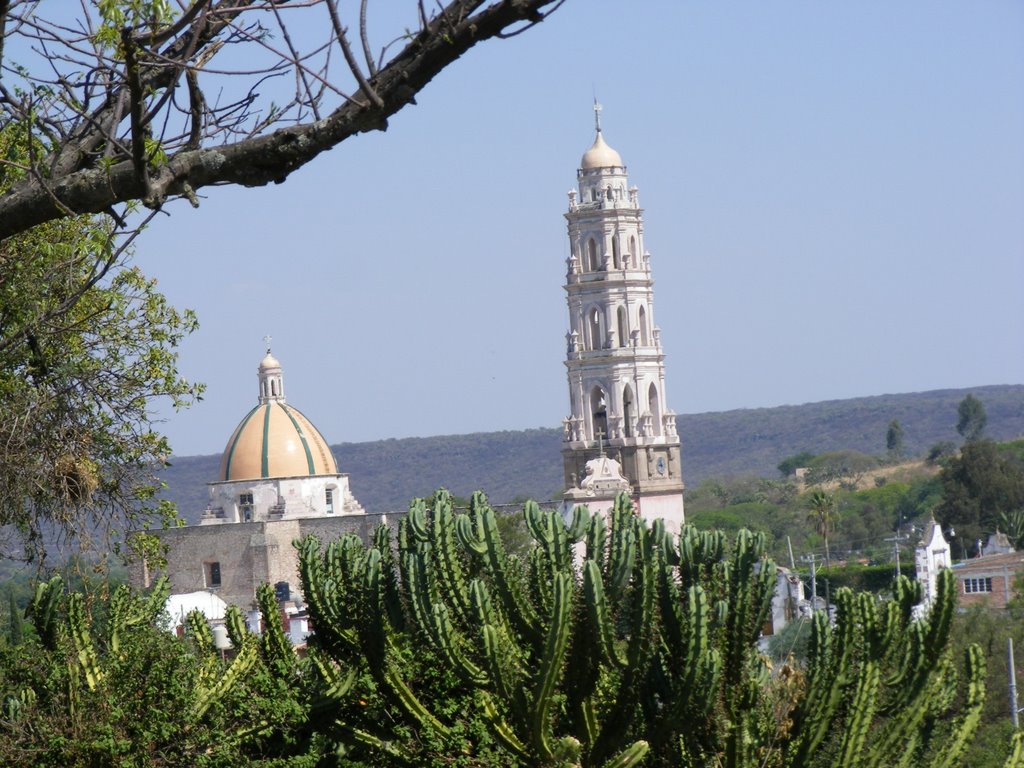 parroquia santiago apostol comonfort