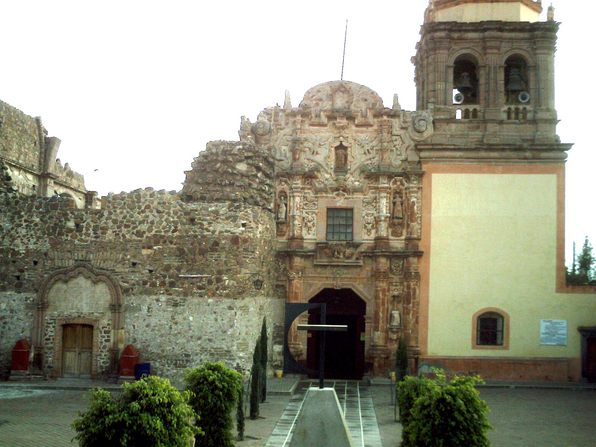 pinos zacatecas