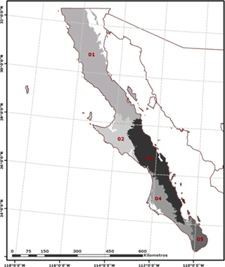 provincia de baja california sur mexico