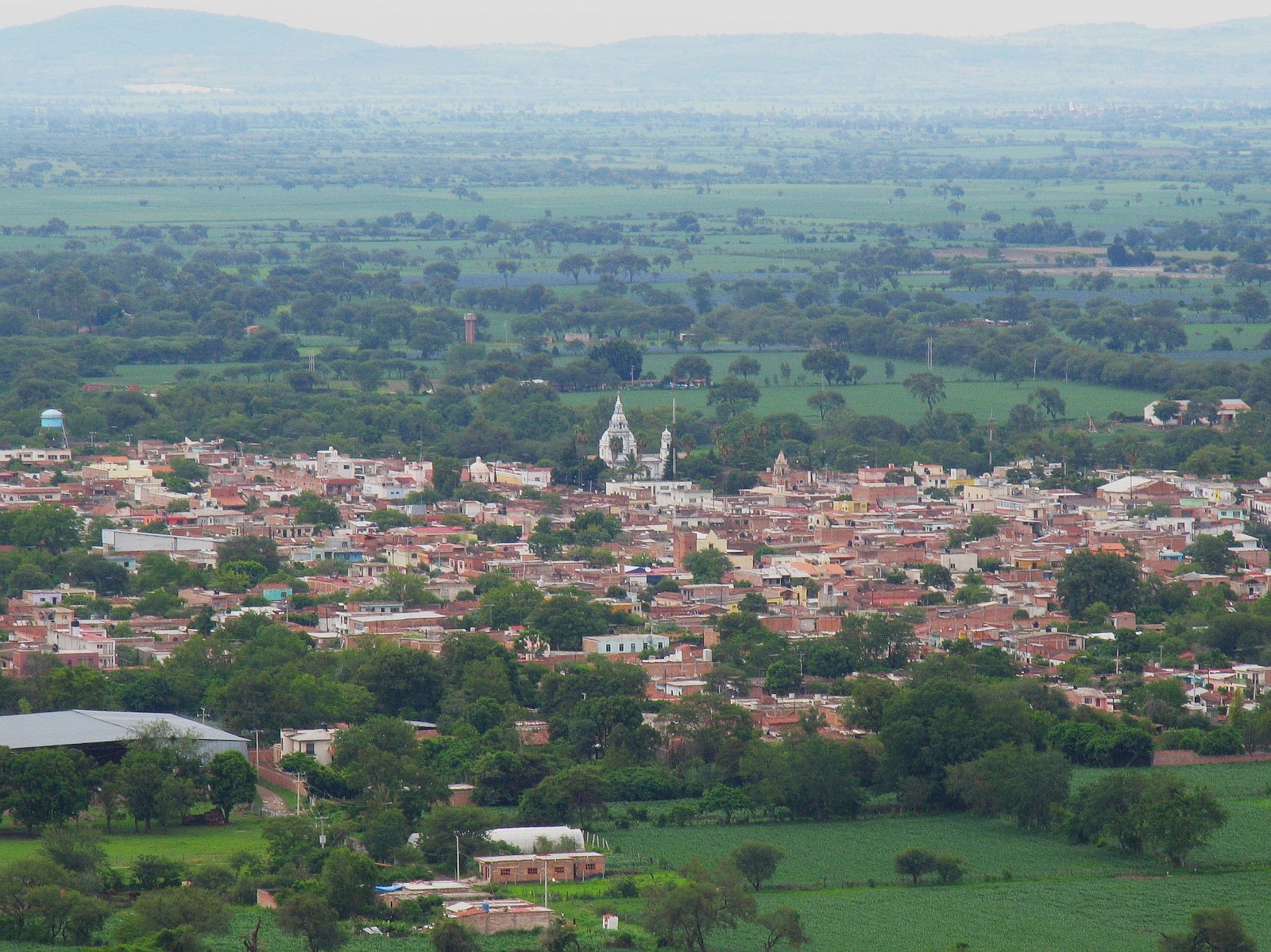 san martin hidalgo jalisco