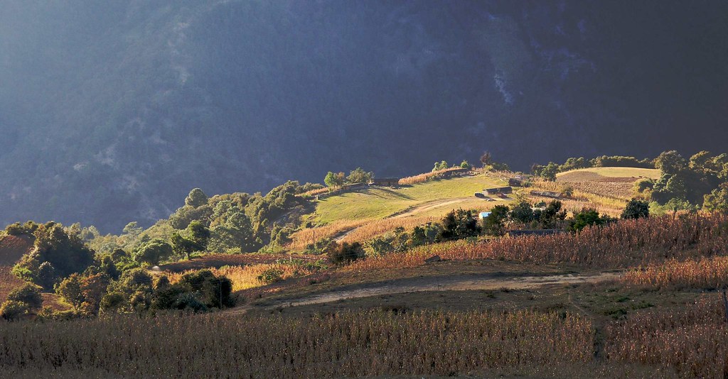 san miguel peras oaxaca