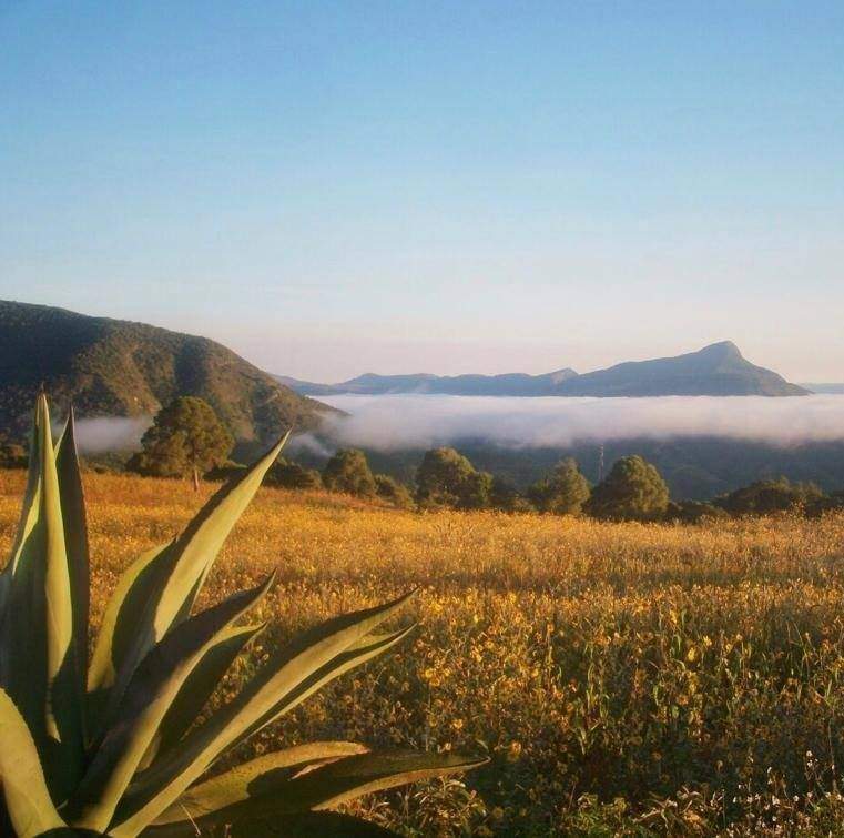 santiago huauclilla oaxaca