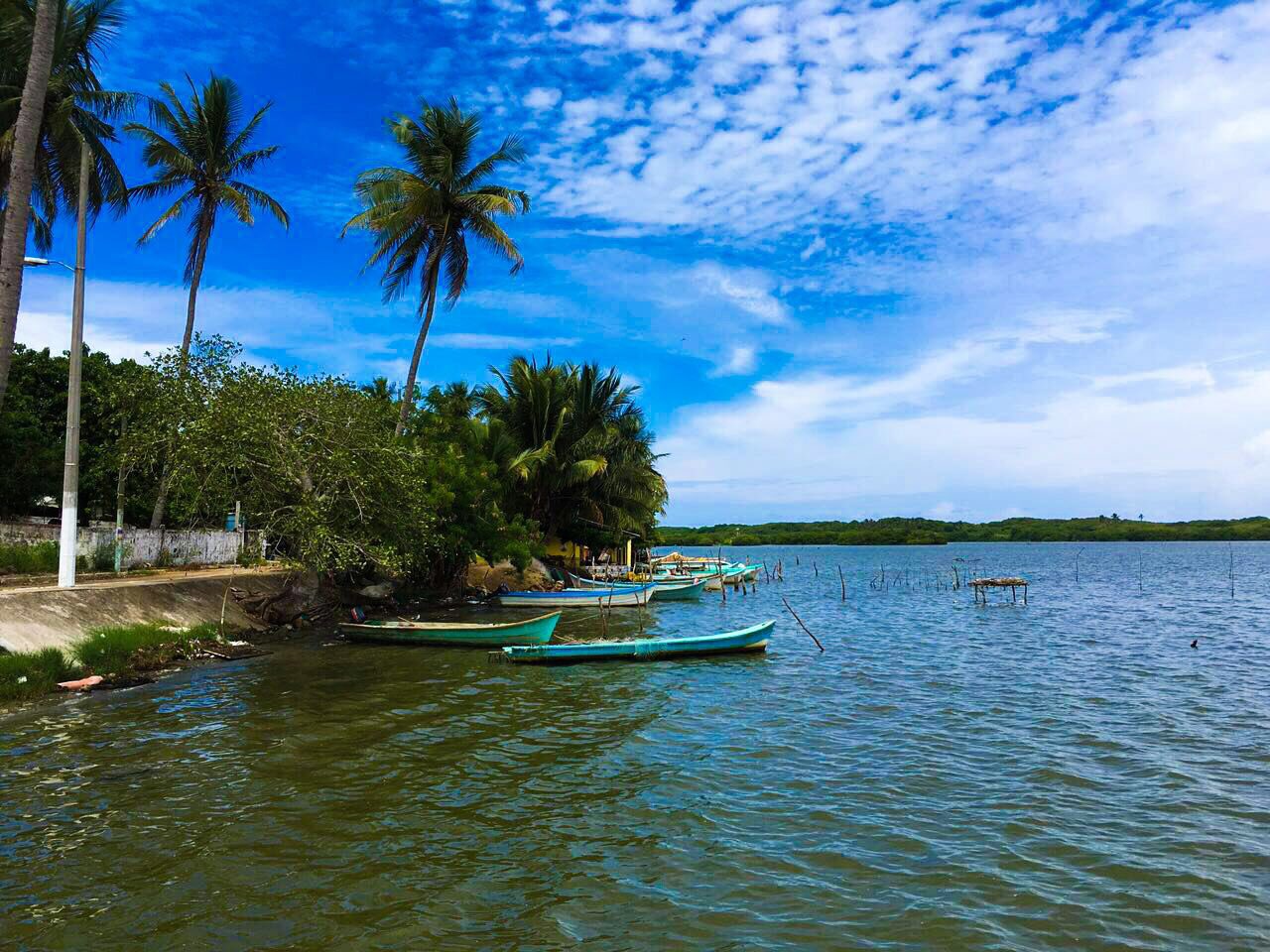 tampico alto veracruz