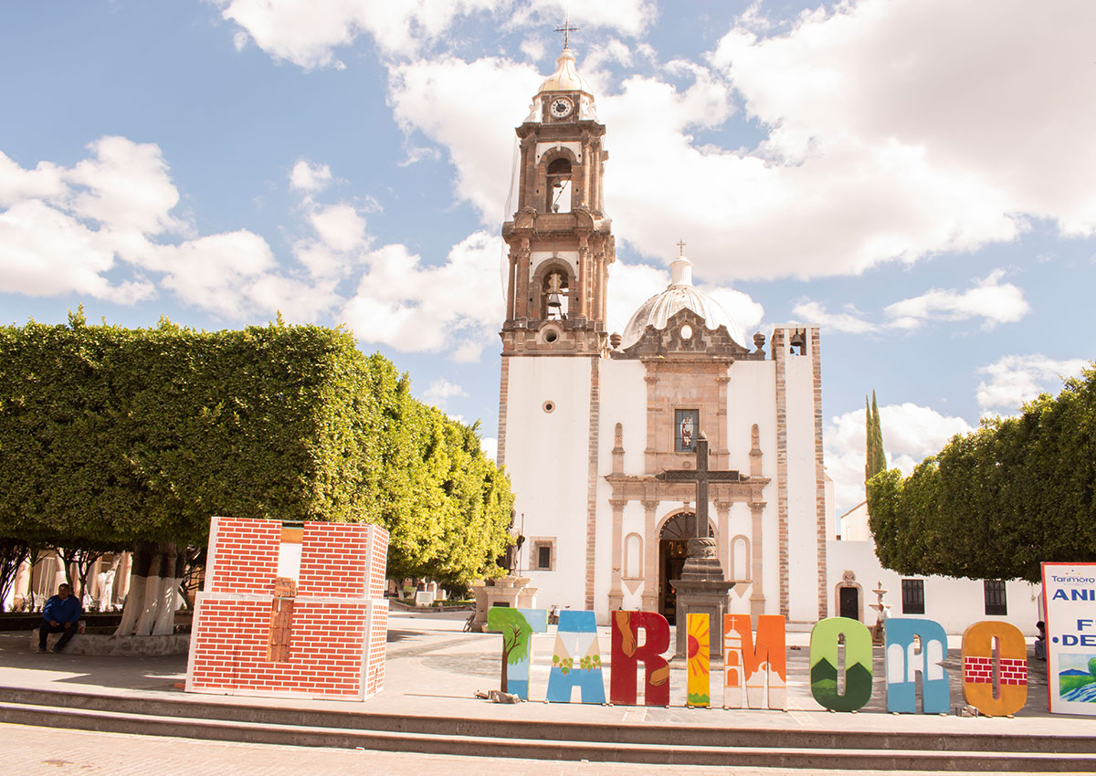 tarimoro guanajuato