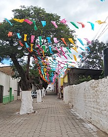 teotitlan de flores magon oaxaca