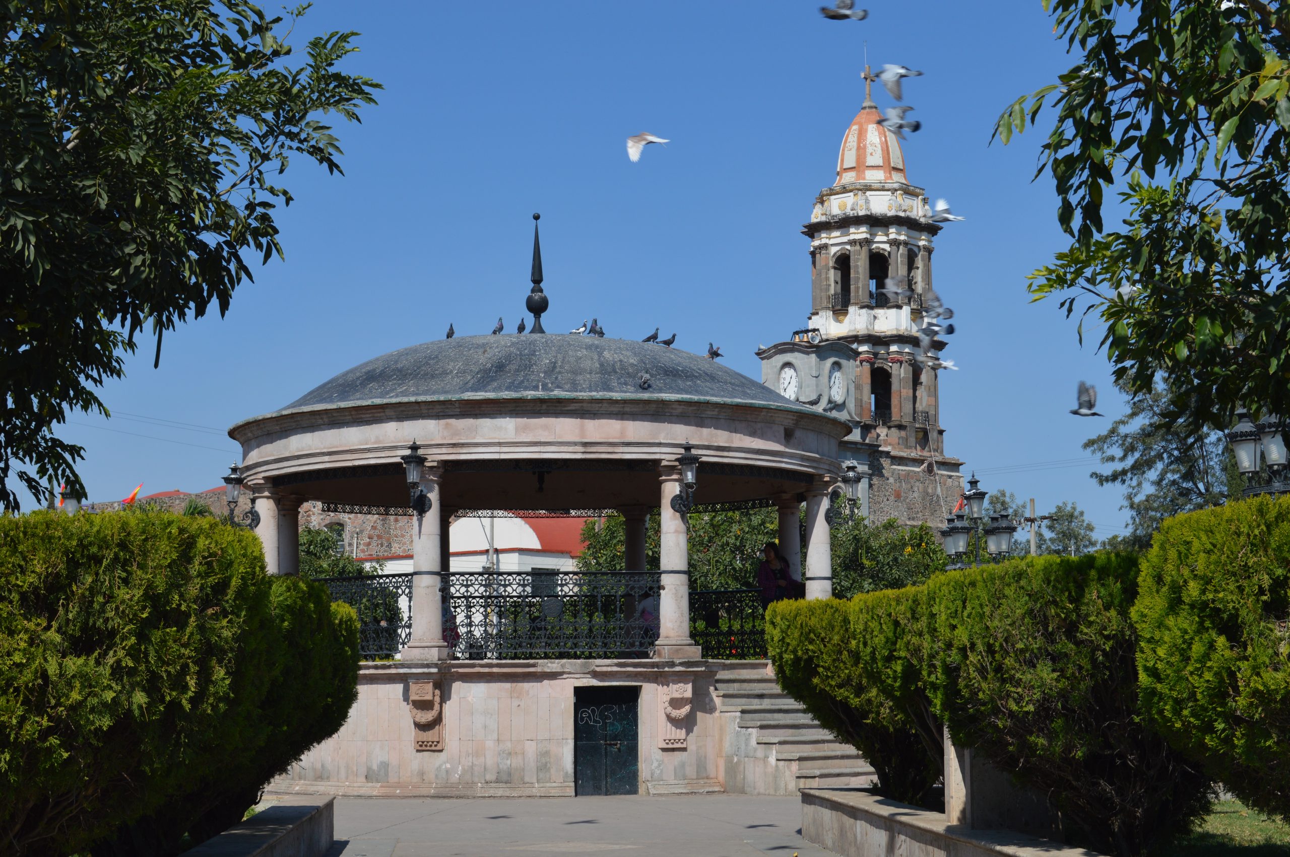 zacoalco de torres jalisco scaled